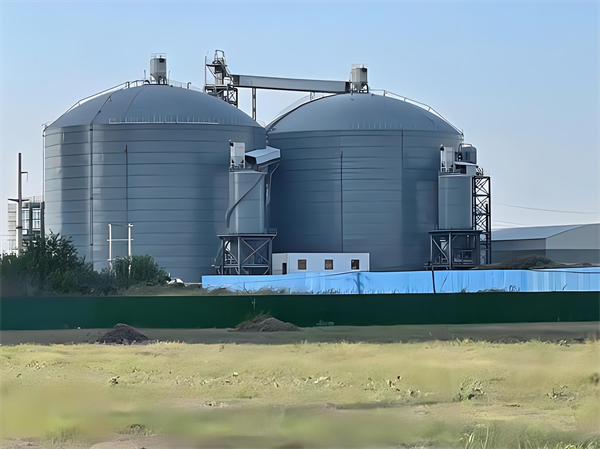 忠县钢板仓建造施工方案详解